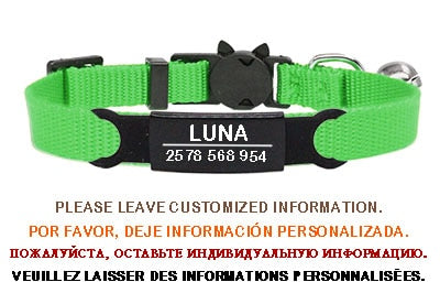 Personalized ID Free Engraving Cat Collar