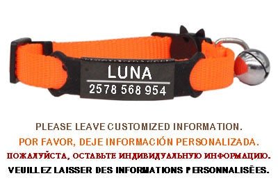 Personalized ID Free Engraving Cat Collar